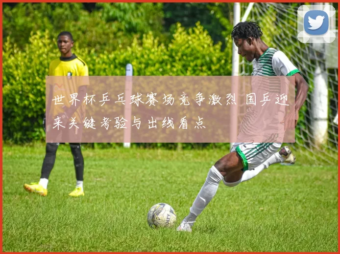 世界杯乒乓球赛场竞争激烈 国乒迎来关键考验与出线看点