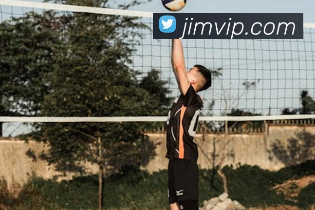 emc易倍官方官网APP 封面图